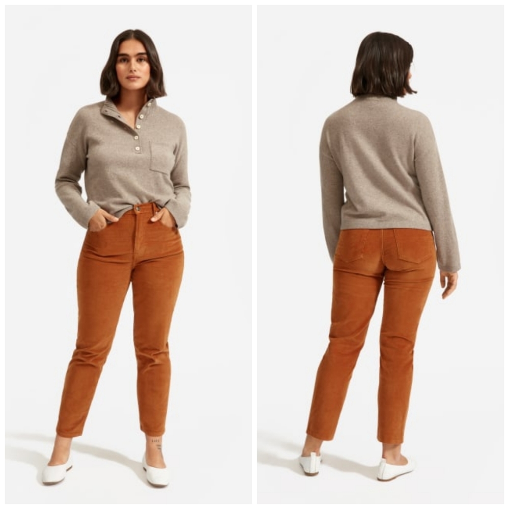 Everlane ReCashmere Button Henley Mockneck